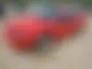 Vehicle Image- 2004 Ford Mustang