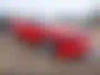 Vehicle Image- 2004 Ford Mustang