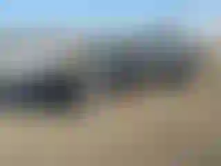 Vehicle Image- 2004 Ford Mustang