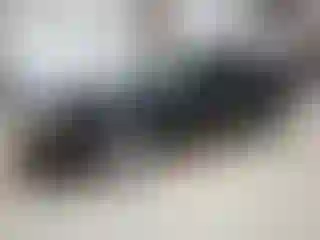 Vehicle Image- 2001 Ford Mustang