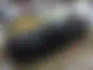 Vehicle Image- 2000 Ford Mustang