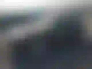 Vehicle Image- 2000 Ford Mustang