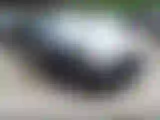 Vehicle Image- 2003 Ford Mustang