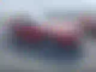 Vehicle Image- 2003 Ford Mustang
