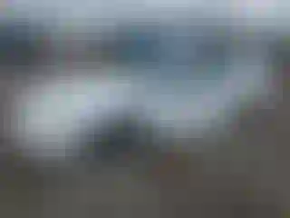 Vehicle Image- 2000 Ford Mustang