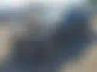Vehicle Image- 2004 Ford Mustang