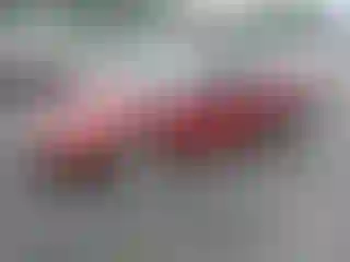 Vehicle Image- 2004 Ford Mustang