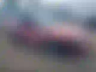 Vehicle Image- 2001 Ford Mustang