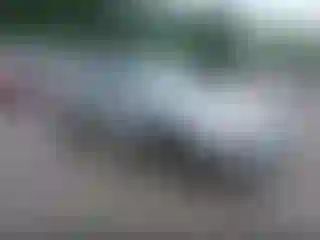 Vehicle Image- 2001 Ford Mustang