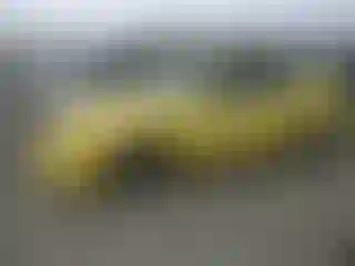 Vehicle Image- 2003 Ford Mustang