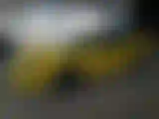 Vehicle Image- 2003 Ford Mustang