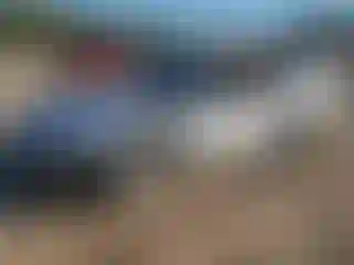 Vehicle Image- 2000 Ford Mustang