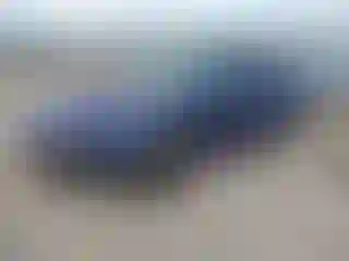 Vehicle Image- 2004 Ford Mustang
