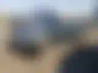 Vehicle Image- 1998 Ford Mustang