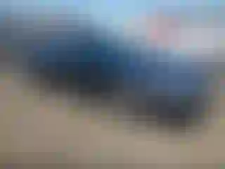 Vehicle Image- 2000 Ford Mustang
