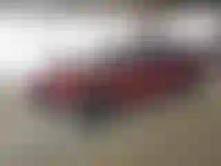 Vehicle Image- 2004 Ford Mustang