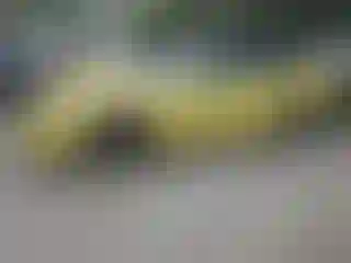 Vehicle Image- 2001 Ford Mustang