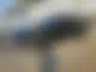 Vehicle Image- 2004 Ford Mustang