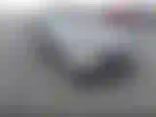 Vehicle Image- 1998 Ford Mustang