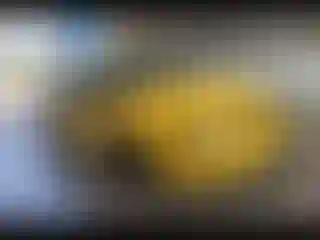 Vehicle Image- 1999 Ford Mustang