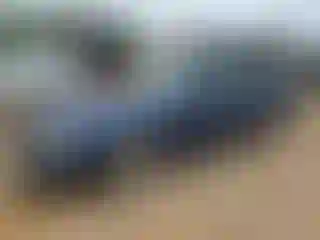 Vehicle Image- 2003 Ford Mustang