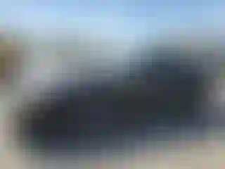 Vehicle Image- 1998 Ford Mustang