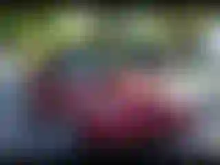 Vehicle Image- 2001 Ford Mustang