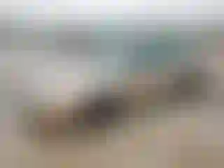 Vehicle Image- 2001 Ford Taurus