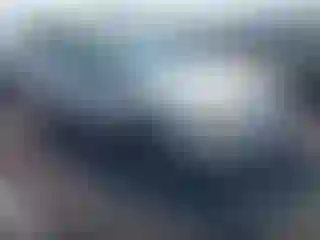 Vehicle Image- 2007 Ford Taurus