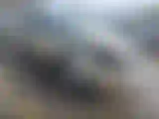 Vehicle Image- 2000 Ford Taurus