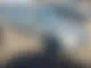 Vehicle Image- 2004 Ford Taurus