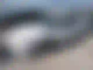 Vehicle Image- 2000 Ford Taurus