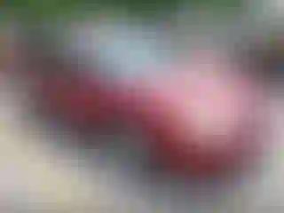 Vehicle Image- 2003 Ford Taurus