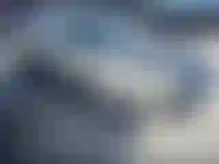 Vehicle Image- 2002 Ford Taurus