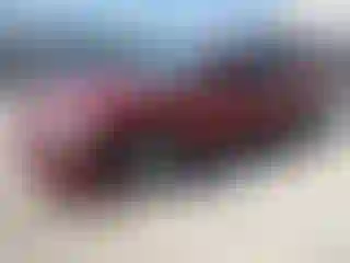 Vehicle Image- 2002 Ford Taurus