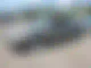 Vehicle Image- 2004 Ford Taurus