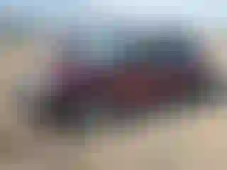 Vehicle Image- 2004 Ford Taurus
