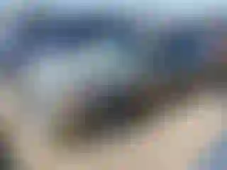 Vehicle Image- 2004 Ford Taurus