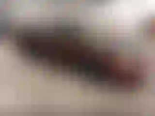 Vehicle Image- 2001 Ford Taurus