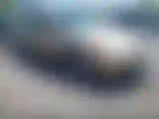Vehicle Image- 2001 Ford Taurus