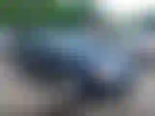 Vehicle Image- 2001 Ford Taurus
