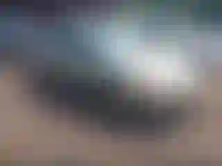 Vehicle Image- 2005 Ford Taurus