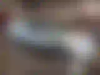 Vehicle Image- 2000 Ford Taurus