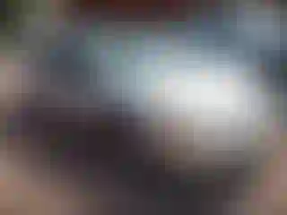 Vehicle Image- 2006 Ford Taurus