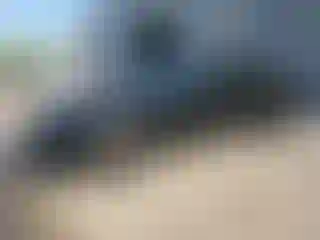 Vehicle Image- 2024 Ford Mustang