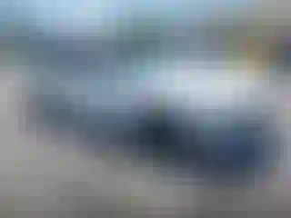 Vehicle Image- 2025 Ford Mustang