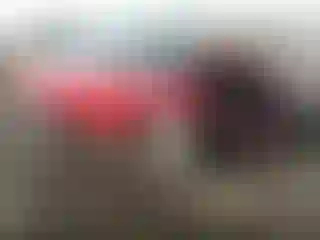 Vehicle Image- 2006 Ford Five Hundred