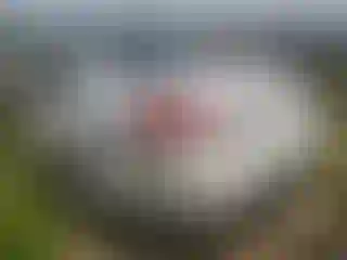 IMPORTOWO.pl