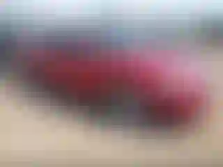 Vehicle Image- 2013 Ford Taurus