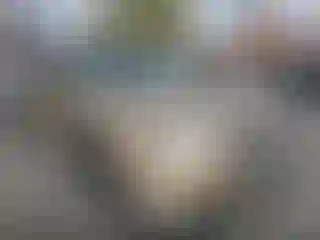 Vehicle Image- 2015 Ford Police Interceptor